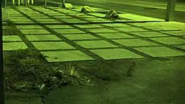 Stranded teen 18+ amateur ROUGH FUCKED outdoors