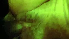 Little red's adventure in the woods