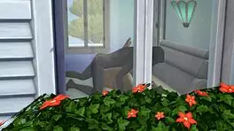 Arab milf sneaks her young 18+ lover home for hidden passion