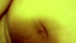 Little red's adventure in the woods