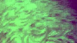 i love sucking my teenage stepsis' balls in hot pov action.