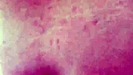 first week of college turns into a threeway with laney grey and lyra lockhart