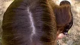 Pov Trail Encounter With Petite Romanian Hiker