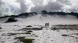 I can’t believe it, my skinny petite ass got banged hard in a wild face-fucking blowbang