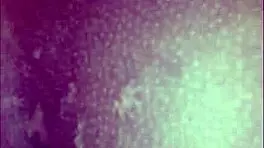 Squirting starbaby gets fucked and licked to perfection in wet scenes