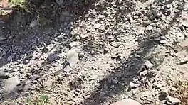 My stepniece was insatiable, we had to stop for sex