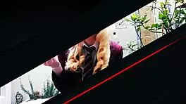 College Slut Sniffs Panty Fetish