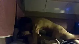 i saw my noiva giv pussy to frend