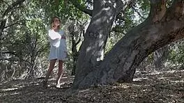 Blonde beauty naked in forest