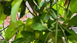 Almost caught doing naughty things with my cousin