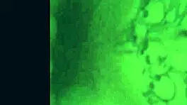 Hey, check this wild teen 18+ sucking big cock in sloppy creampie clips!