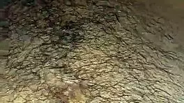 convidei minha vizinha para assistir um filme e ela faz sexo oral