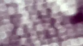 fucked that big booty ebony teen twice today?