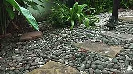 How should I punish her? By tickling those sexy bound feet?