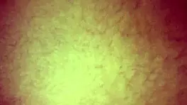 Teen Loves First Homemade Anal