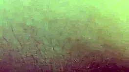 Delicious Latina Amateur After Work