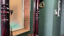 Brunette Mature Lola Gets Naughty in Sheer Blouse and Pantyhose with Young Lover