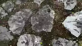 young couple records sex in medellin park, things go wrong