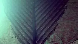 elza kom in nylon tights fetish with curvy escorts, big ass, asshole, and ebony amateurs