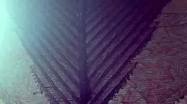 elza kom in nylon tights fetish with curvy escorts, big ass, asshole, and ebony amateurs