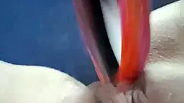 Amateur Teen 18+ Masturbates With Dildo 2 – Raw Solo Action With Toys And Fingering Her Pussy.