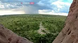 i watch this cute latina novinha handle a monster cock in doggy style