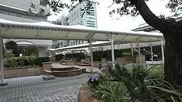 Just a casual fling with a stunning young Japanese wife