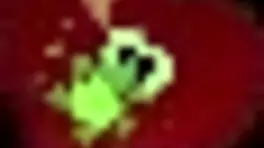 I Fucked Your Wife In The Ass For Severance