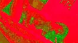 did our anniversary dinner end with passionate moaning sex?