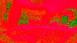 did our anniversary dinner end with passionate moaning sex?