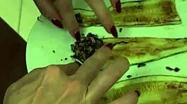 did our anniversary dinner end with passionate moaning sex?