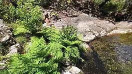 Hunt for Young Mom: Brunette Taken by Surprise in Street Fucking