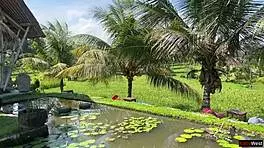 public cumwalk in cafe with sperm on face while eating pasta