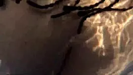 Big-Ass Milf Fucked In The Pool! She Loves Cock More Than Food!