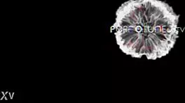 Horny Milf At Gloryhole Front Fuck And Creampie By Big Cock!