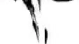 Ninfeta gets assfucked by husband