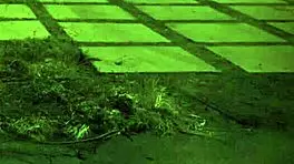 Bound teen 18+ teases on webcam