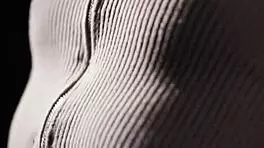 Stepfamily engages in taboo 3-way sex