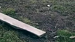 Sex outdoors with stranger watching me for days, isn't it?