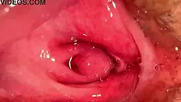 amateur pink pussy 172 days after losing her virginity