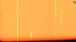 Naughty Ivy Kneels Sucks Fat Dick Rides