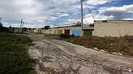 Horny Student Sneaks Blowjob Session Behind Neighbor’s Garage