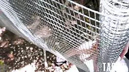 caged teen in skirt gets wild with zac wild and jennifer white