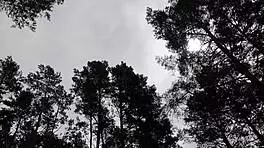 Deutsche Studentin Tiny 18+ Emily Fucked Raw by Stranger on Way Home in Outdoor Creampie