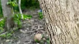 गंदा बूढ़ा कमजोर आदमी जंगल में अपनी बस्टि सौतेली बेटी को फक करता है