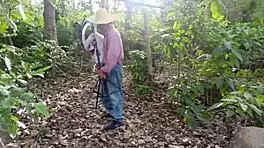 गंदा बूढ़ा कमजोर आदमी जंगल में अपनी बस्टि सौतेली बेटी को फक करता है