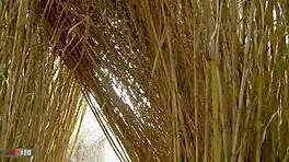 Long Time Crush Gets Creampie Sex