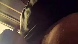 Spanish European Pornstar Bad Wolf28 Experiences Intense Pene Shower