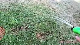 Stepsister gets wet for not cleaning the garden in roleplay fantasy.