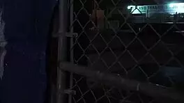 Sex Contest Rough Outdoor Public Hook-Up Is Anya Olsens Only Option